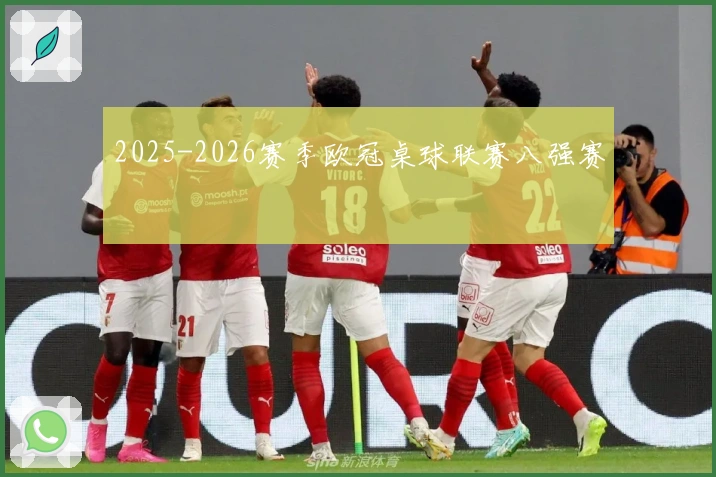 2025-2026赛季欧冠桌球联赛八强赛