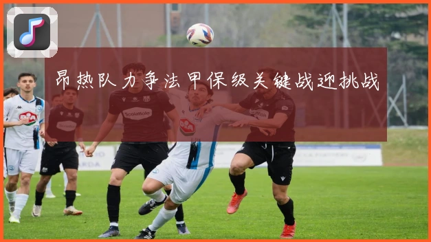 昂热队力争法甲保级关键战迎挑战